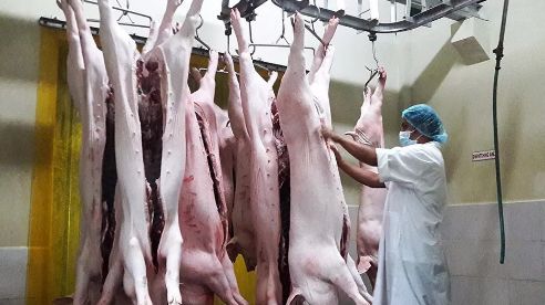 筑牢安全防線 肉制品加工廠的衛生設施與管理實踐