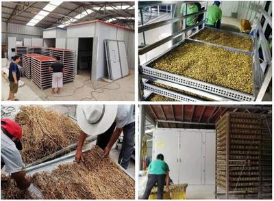 農(nóng)機補貼范圍擴大 烘干設(shè)施等納入試點，助力肉制品加工業(yè)提質(zhì)增效